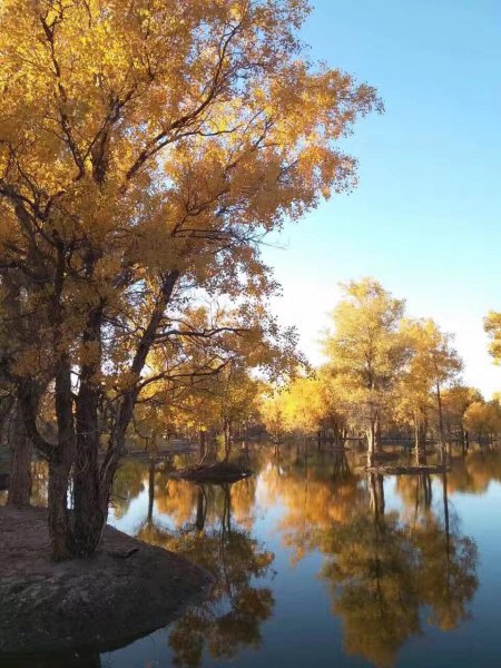 度蜜月去哪里旅游好