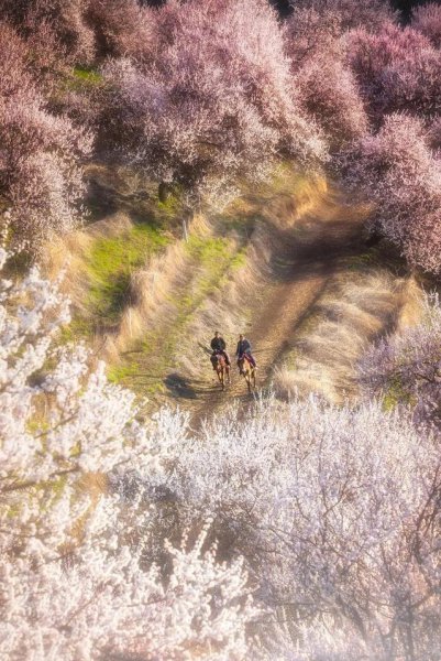 度蜜月去哪里旅游好