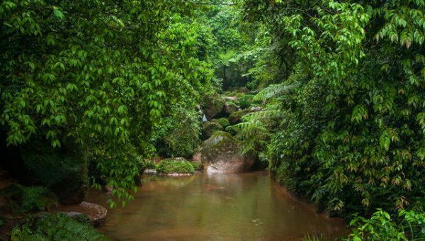 中国丹霞地貌在哪里