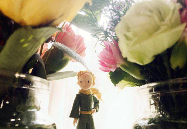 浅谈小王子的寓意