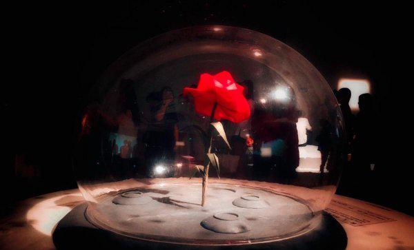 浅谈小王子的寓意