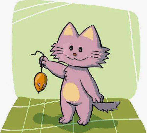 猫到底是招财还是来灾