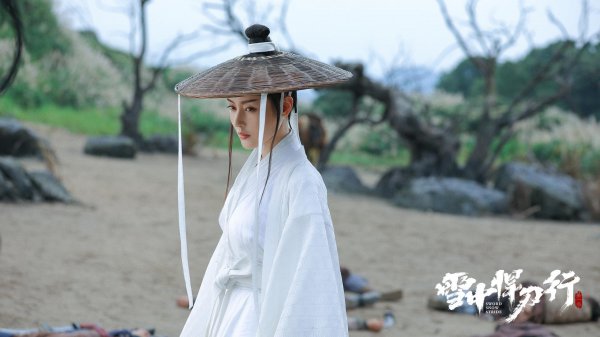 白狐儿脸南宫仆射结局