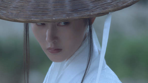 白狐儿脸南宫仆射结局