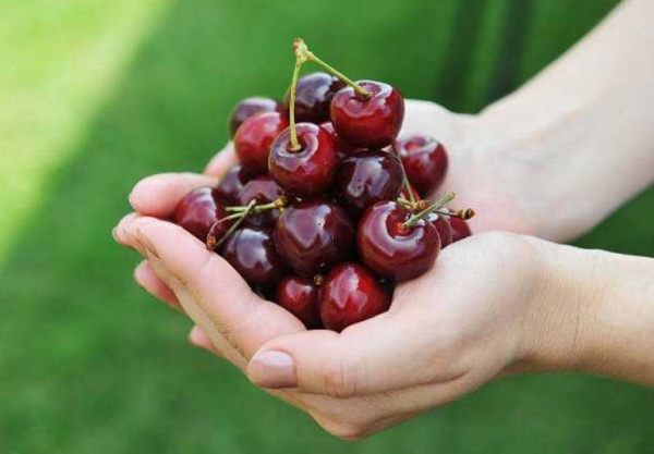 她强任他强清风拂山岗啥意思