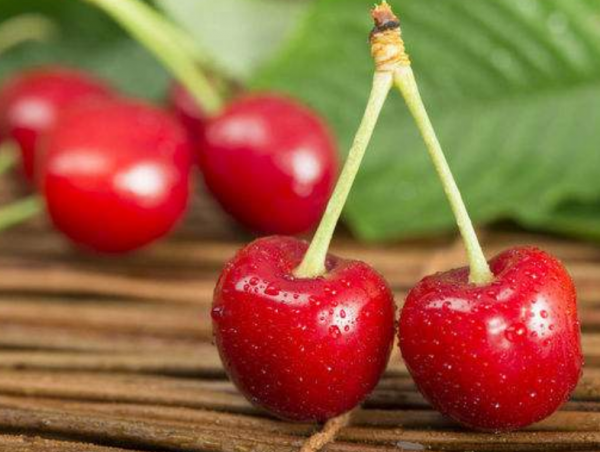 她强任他强清风拂山岗啥意思