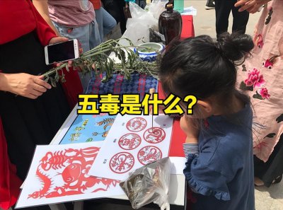 端午节除五毒是指哪五毒 防范驱避端午节五毒有效方式