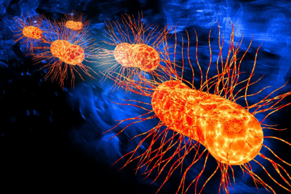 尸臭到底有多臭