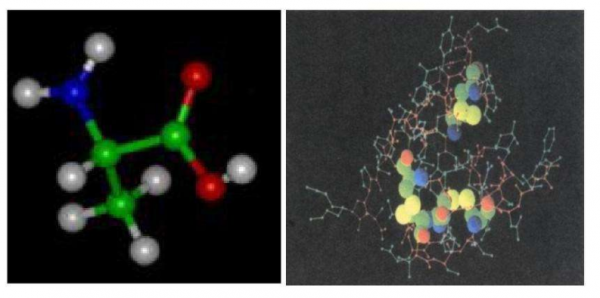 尸臭到底有多臭