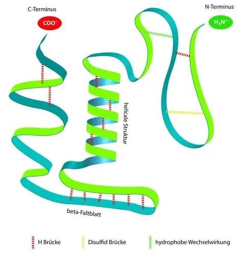 尸臭到底有多臭