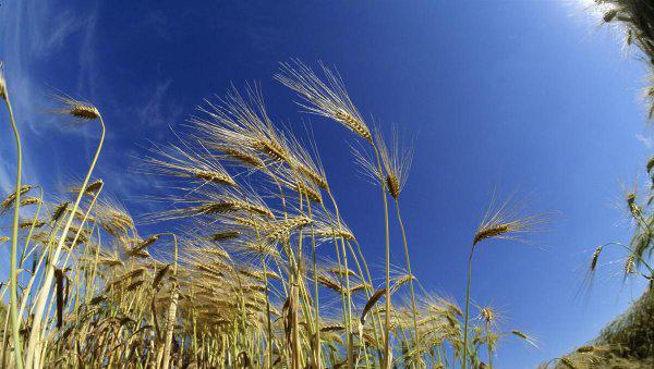 风能是可再生资源吗