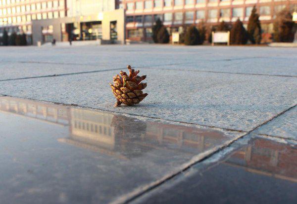 没编制的老师有出路吗