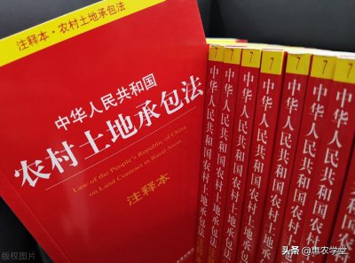 承包土地国家每亩补偿多少钱 2022农村土地承包补贴