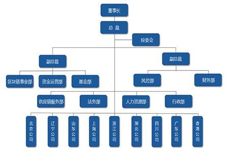 集团和公司的区别在哪里