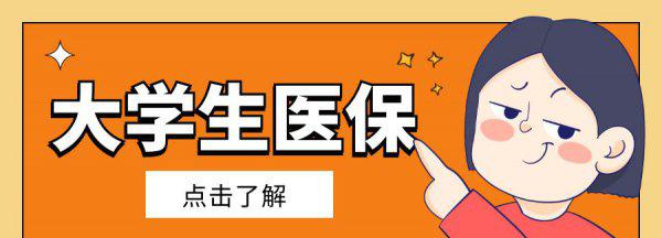 学校交的320元是什么保险