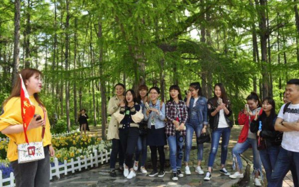 旅游管理是干什么的