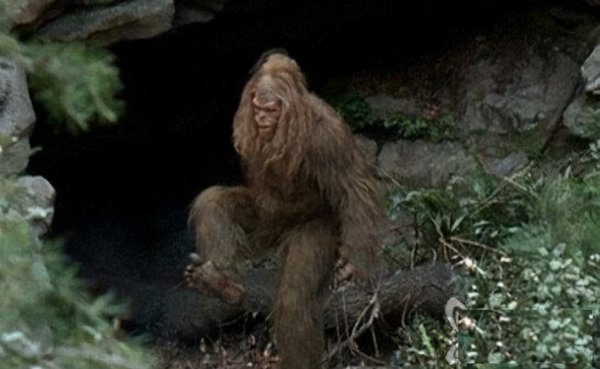 神农架在什么地方