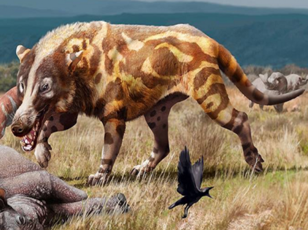 神农架在什么地方