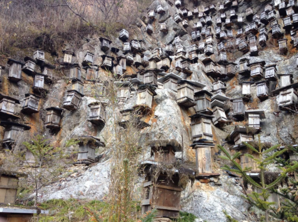 神农架在什么地方