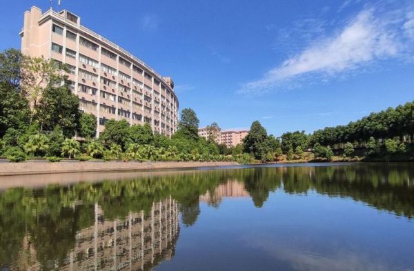 单招考试考什么都有哪些科目