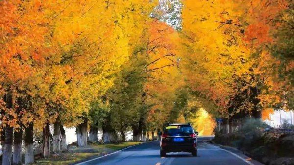 四川稻城亚丁几月份去合适