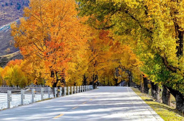 四川稻城亚丁几月份去合适