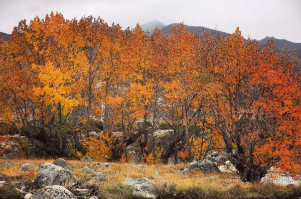四川稻城亚丁几月份去合适