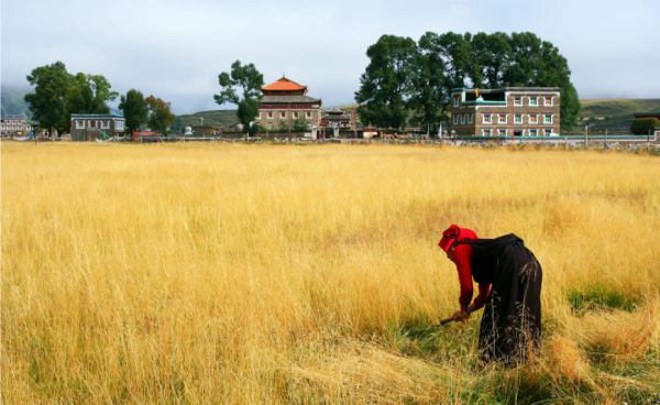 四川稻城亚丁几月份去合适