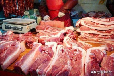 饺子馅用猪的哪块肉好 为什么包饺子做馅要用猪前腿肉