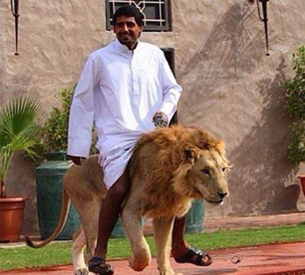 卡塔尔和迪拜哪个富裕