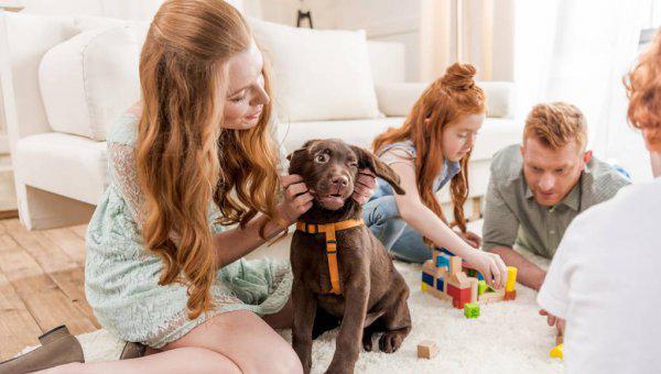 如何反击楼上噪音又不违法