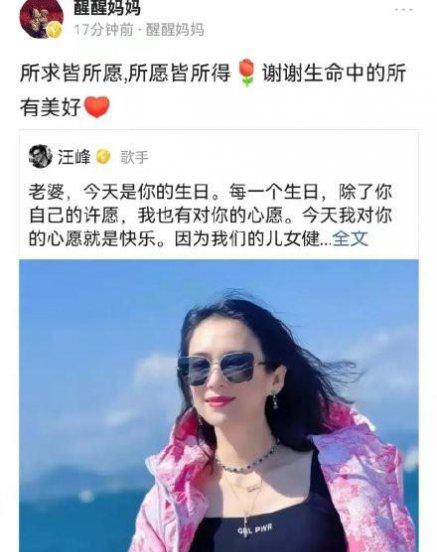 汪峰比章子怡大多少