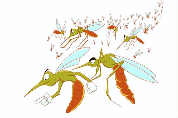 物理驱蚊子最有效的方法窍门