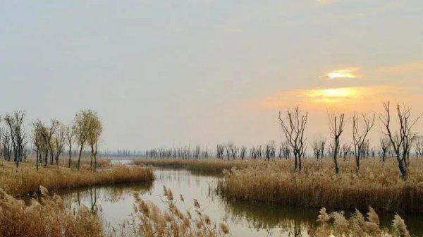 三国小沛是现在的哪个城市