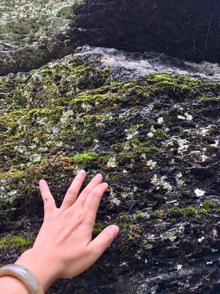 湖北恩施哪个季节去好