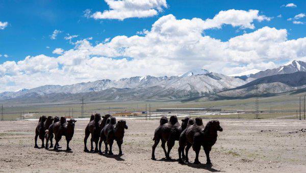 格尔木市属于青海省哪个市