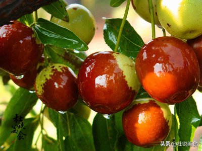 滨州特产有哪些 到山东滨州不能错过的10种土特产