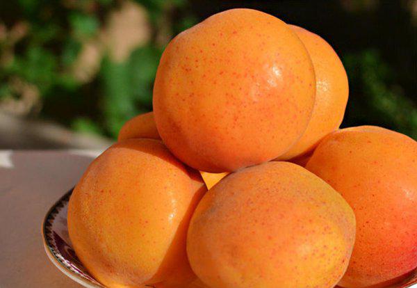 滨州特产有哪些