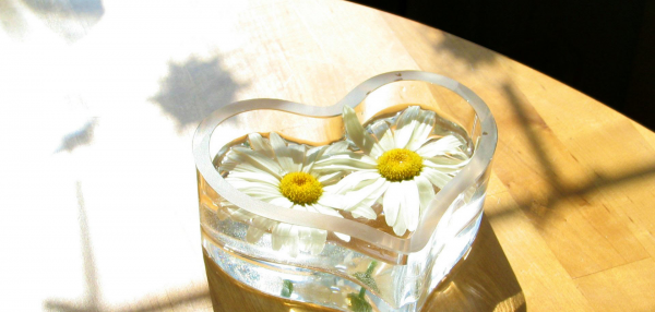 天秤座终身喜欢的星座