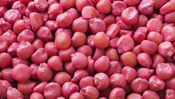 去年的玉米种子今年还能种吗