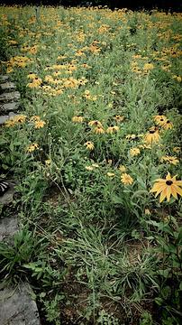 好玩的綦江旅游景点推荐