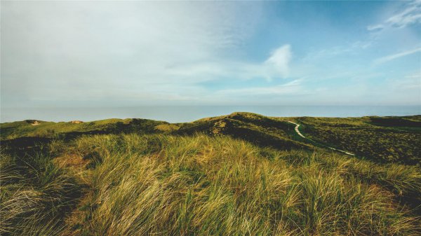 高考妈妈帮缓解压力