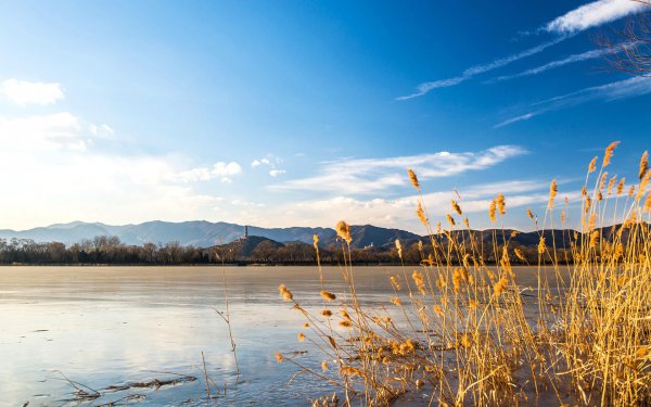 高考妈妈帮缓解压力