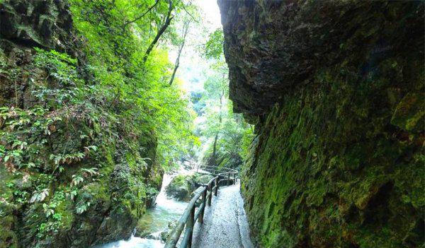 武义哪里好玩的景点