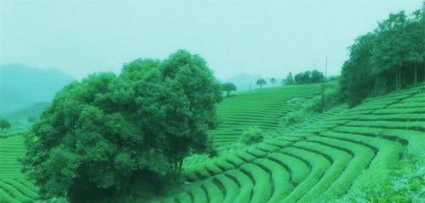 武义哪里好玩的景点