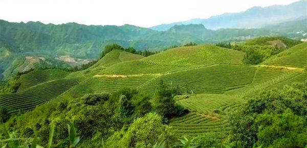 武义哪里好玩的景点