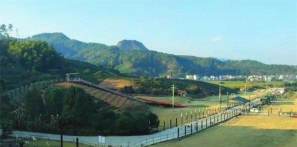 武义哪里好玩的景点