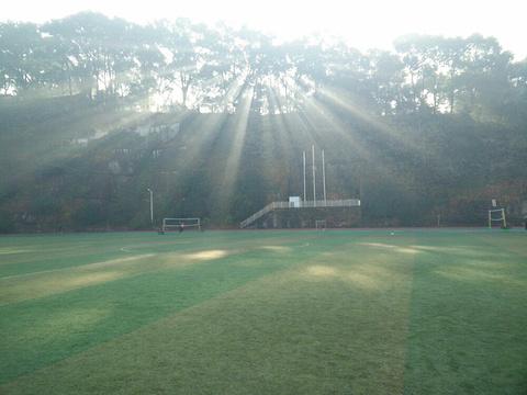 江津周边有什么好玩的地方和景区