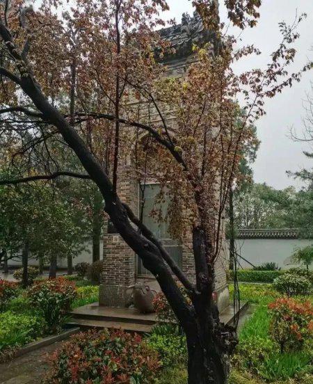 蓝田县水陆庵简介