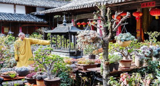 释明心法师个人资料简介